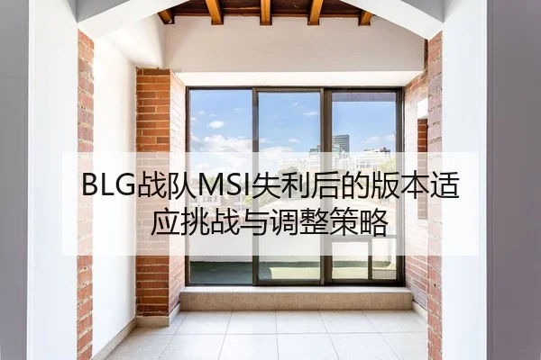 BLG战队MSI失利后的版本适应挑战与调整策略