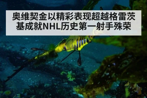 奥维契金以精彩表现超越格雷茨基成就NHL历史第一射手殊荣